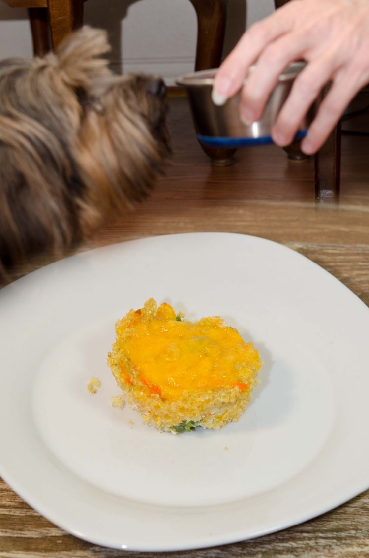 Quinoa Muffins for Your Furry Family